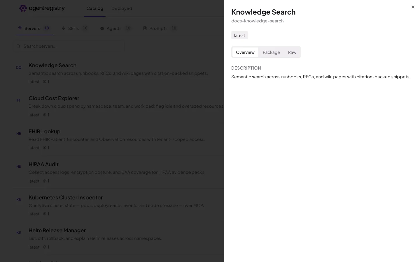 The agentregistry web UI — Server details — Overview