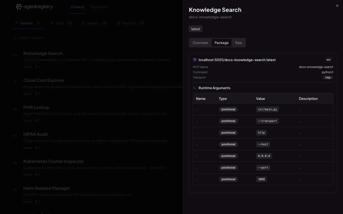 The agentregistry web UI — Server details — Package