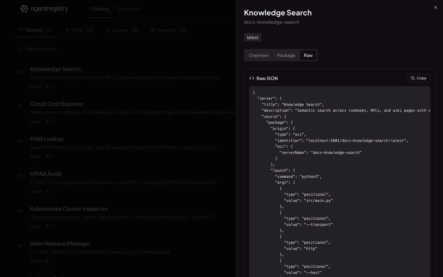 The agentregistry web UI — Server details — Raw