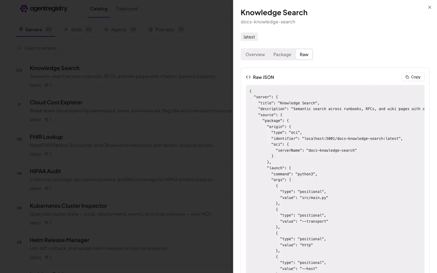 The agentregistry web UI — Server details — Raw